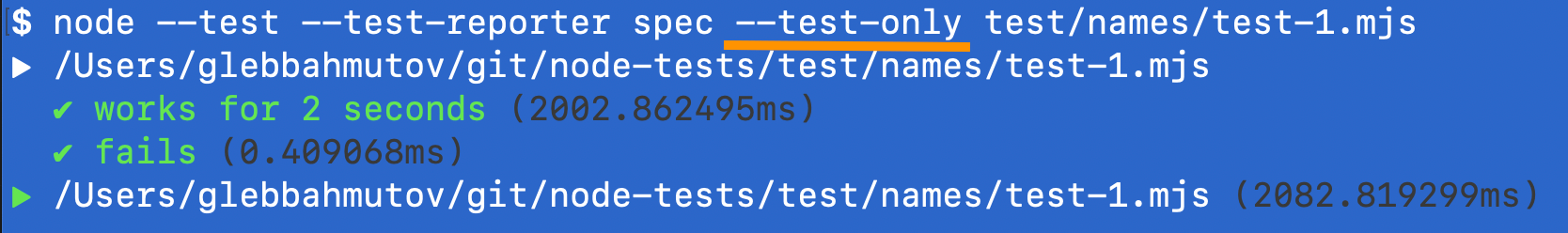 Only the tests with only: true option execute