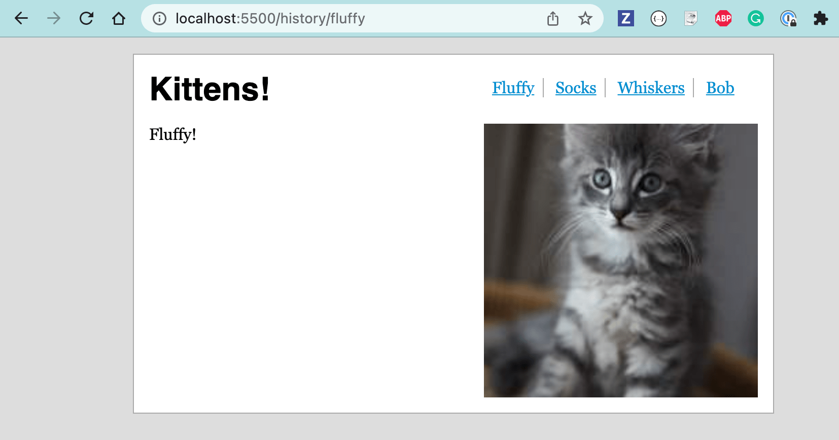 The Cats example application