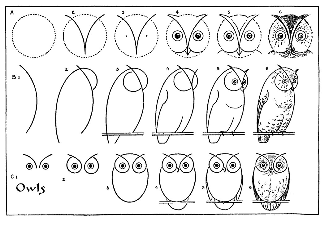 owls drawings