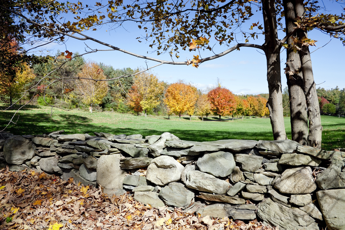 Stone wall near Boston