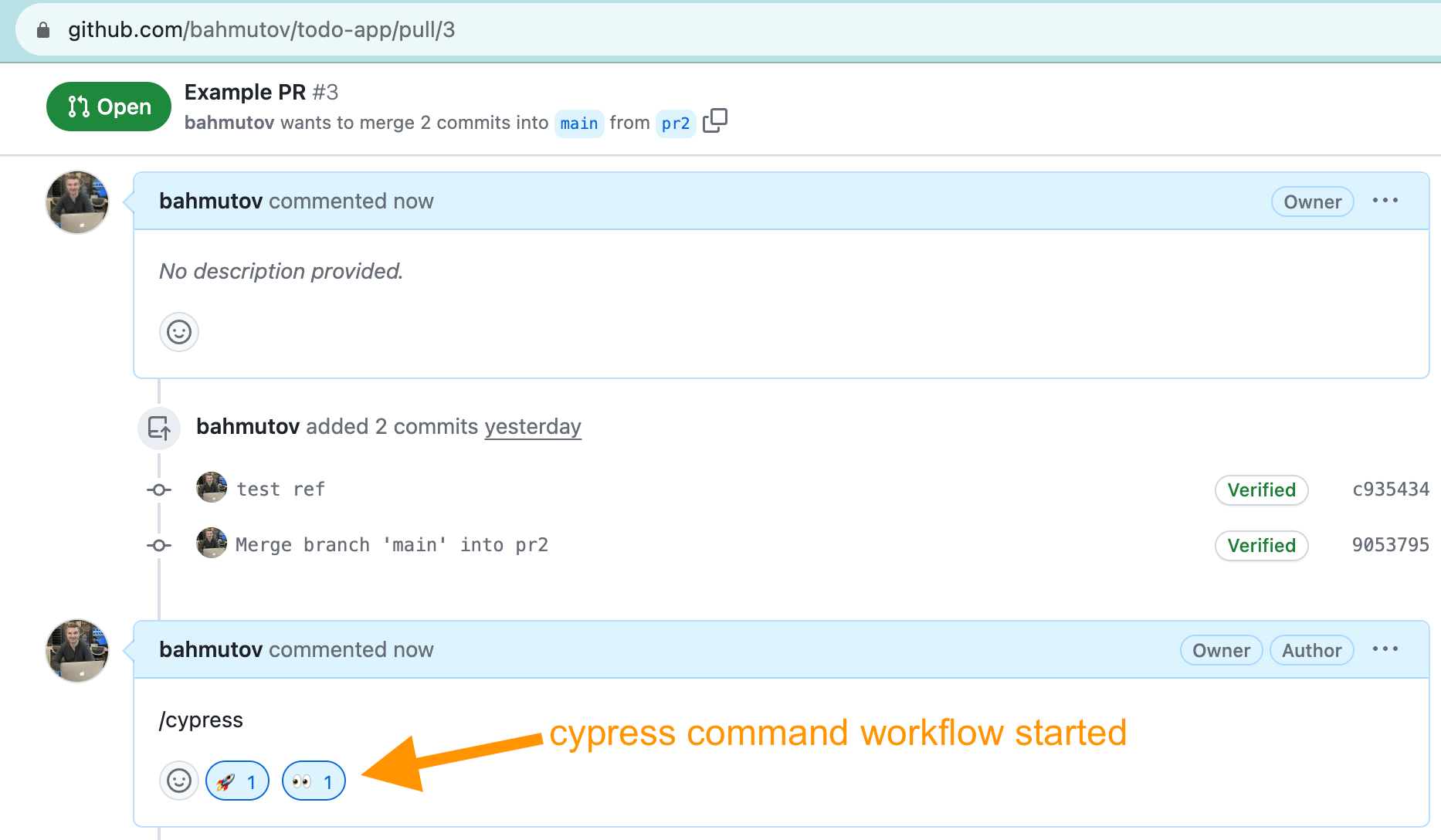 This reactions mean the command workflow was found and started